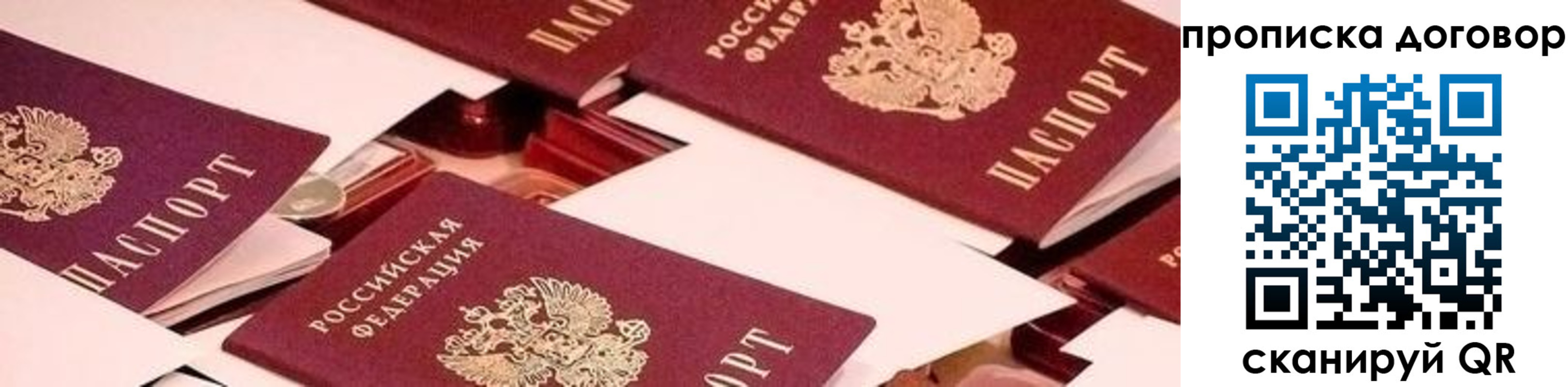 прописка для школы в Волосово